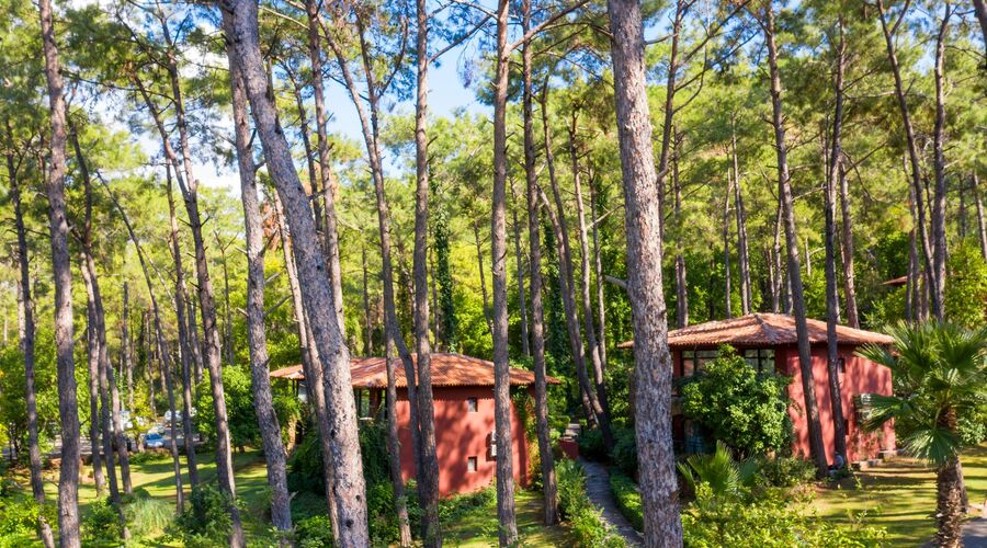 Marmaris Bay Resort Mp Hotels 5*