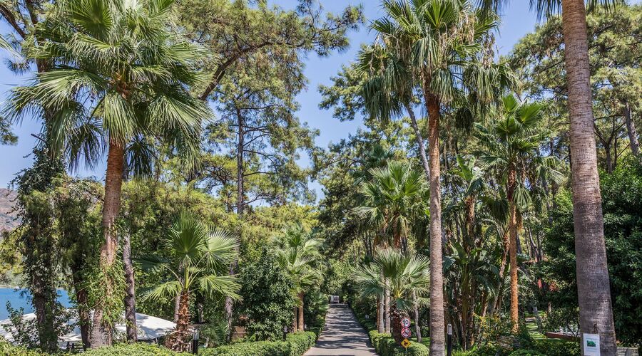 Marmaris Bay Resort Mp Hotels 5*