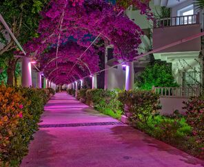 Bendis Beach Hotel  4*