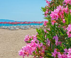 Bendis Beach Hotel  4*