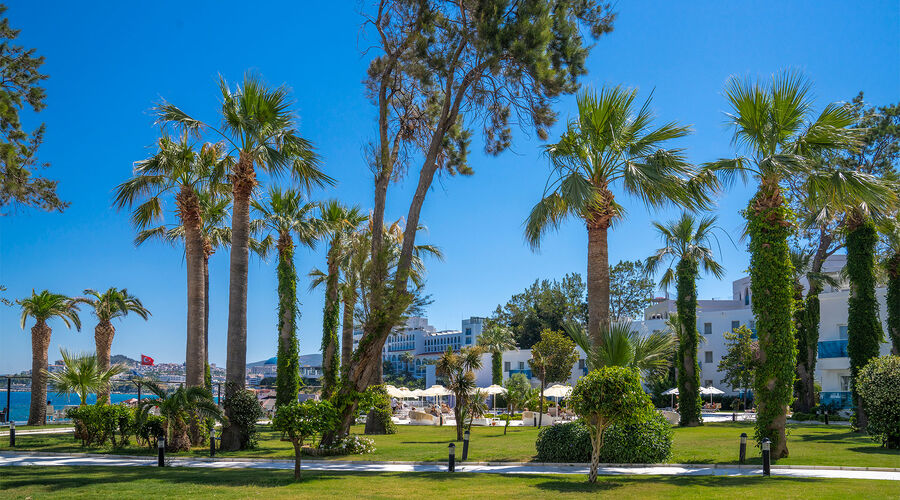 Le Bleu Hotel & Resort  5*