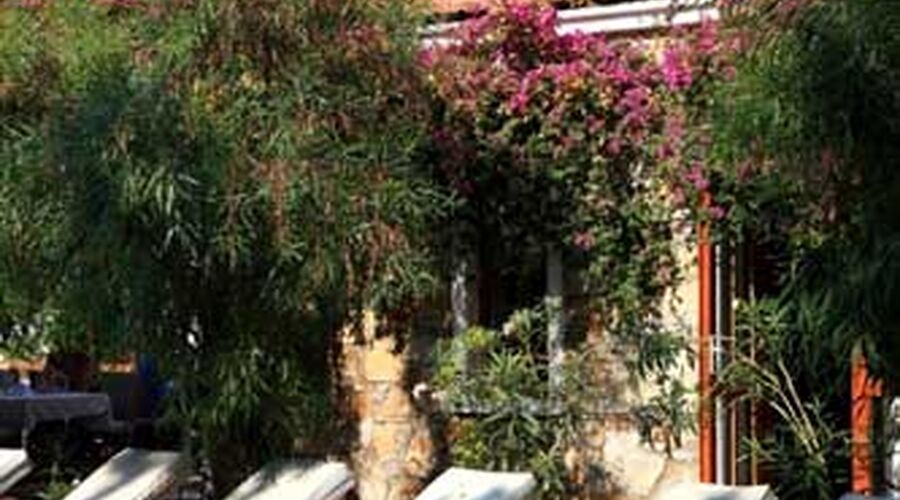 Okaliptus Hotel  4*