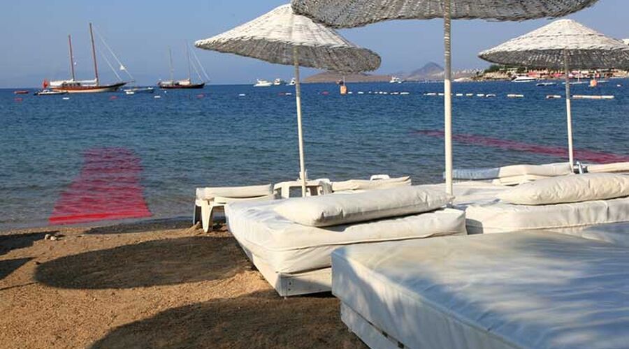 Okaliptus Hotel  4*