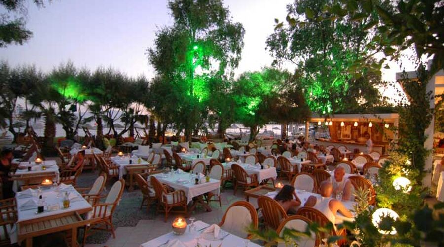 Okaliptus Hotel  4*