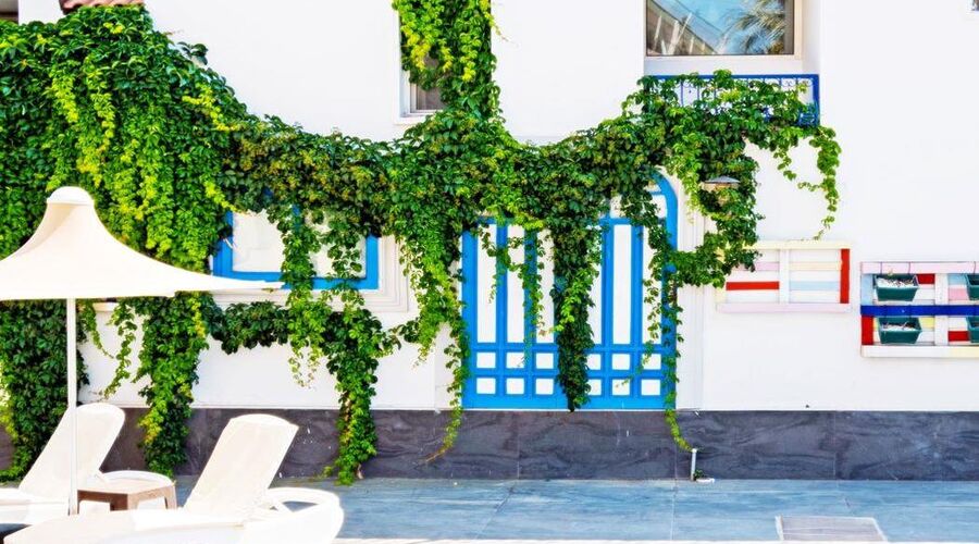 Bleu Nuit Hotel Bodrum  4*