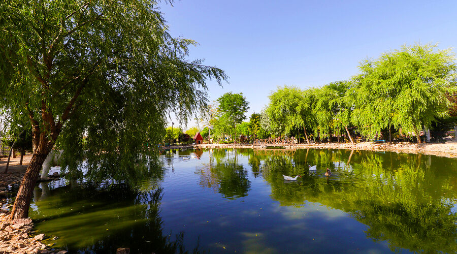 Sandıklı Termal Park Otel 5*