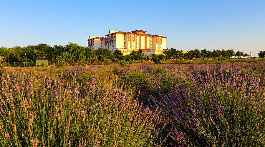 Sandıklı Termal Park Otel 5*