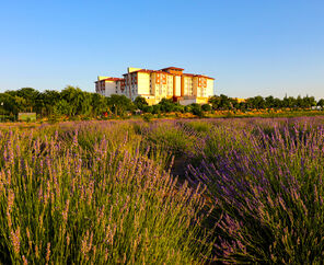 Sandıklı Termal Park Otel 5*