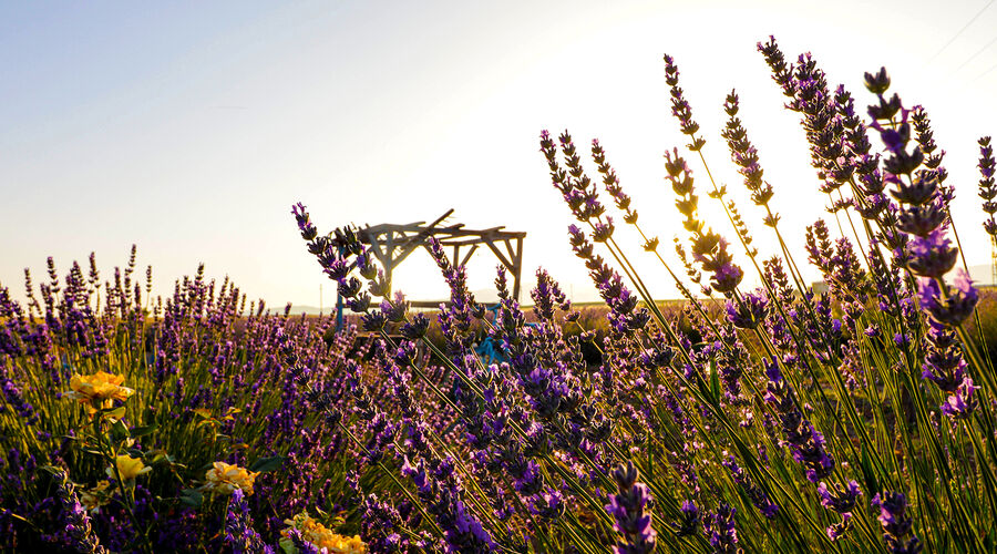 Sandıklı Termal Park Otel 5*