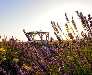 Sandıklı Termal Park Otel 5*