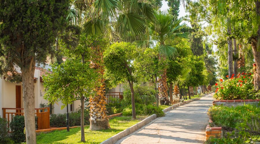 Pine Bay Holiday Resort 5*
