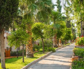 Pine Bay Holiday Resort 5*