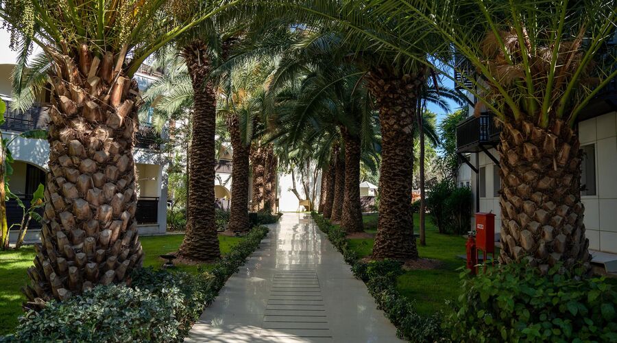 Latanya Park Resort  4*
