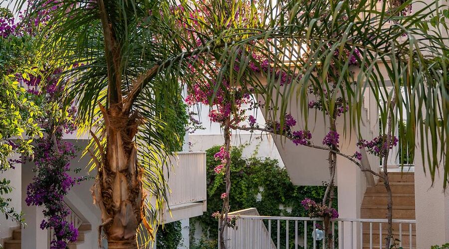 Bodrum Beach Resort  4*