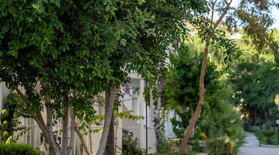 Bodrum Beach Resort  4*