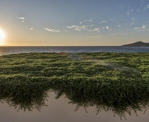 Allium Bodrum Resort& Spa