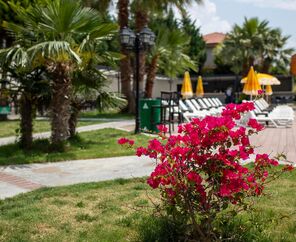 My Aegean Star Hotel  4*