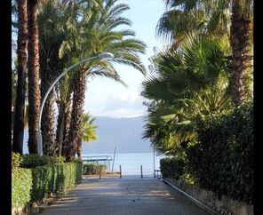 Astoria Life Hotel 3*