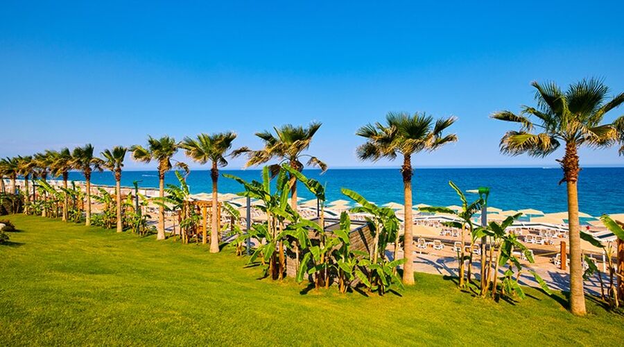 Royal Diwa Tekirova Resort   5*