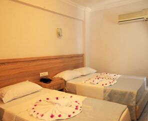 Anadolu Hotel  3*