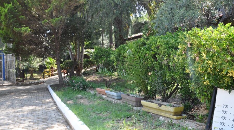 Pigale Beach Resort   3*