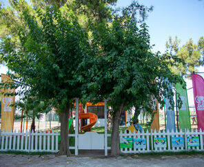 Transatlantik Beach    4*