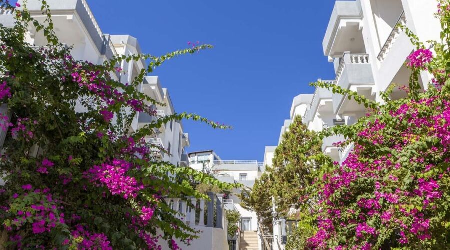 Smart Holiday Hotel Bodrum  4*