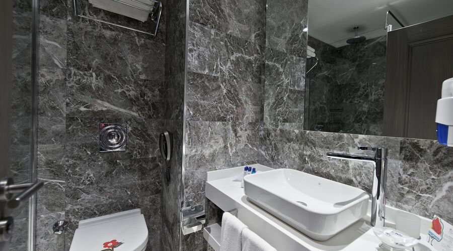 Delta Hotels By Marriott  5*