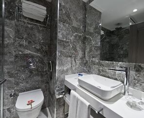 Delta Hotels By Marriott  5*