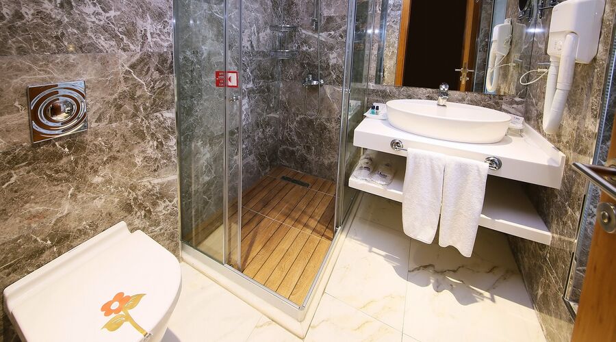 Delta Hotels By Marriott  5*