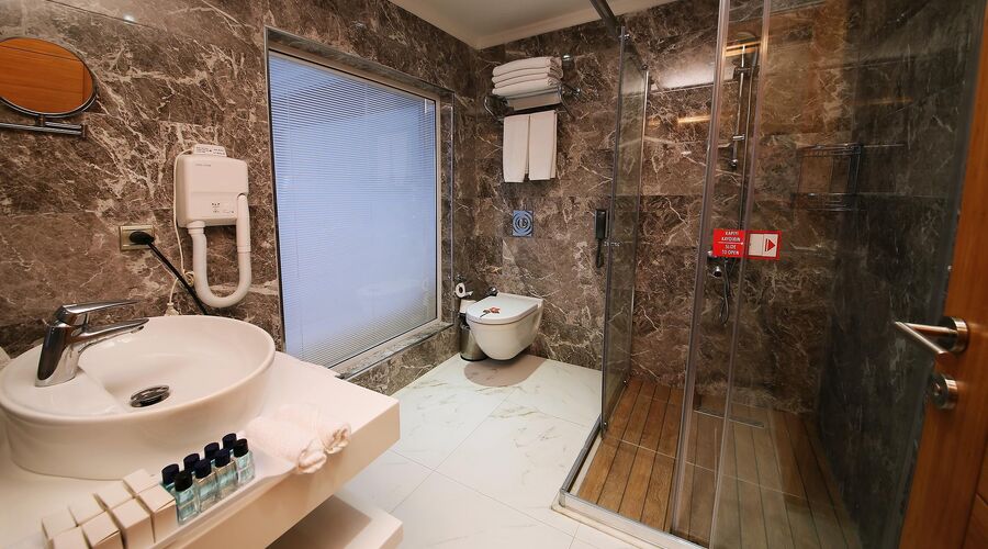 Delta Hotels By Marriott  5*