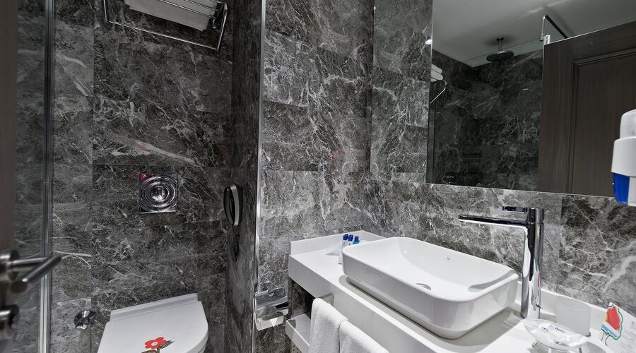 Delta Hotels By Marriott  5*