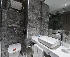 Delta Hotels By Marriott  5*