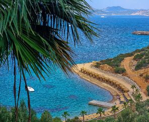 Bodrum Holiday Resort & Spa  5*