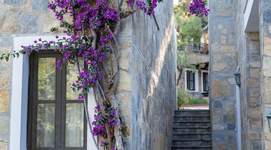 Bodrum Park Resort 5*