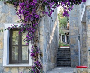 Bodrum Park Resort 5*