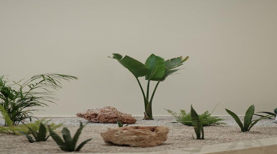 Arın Resort Bodrum 5*