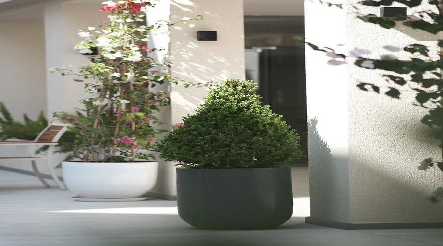 Arın Resort Bodrum 5*