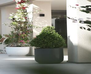 Arın Resort Bodrum 5*