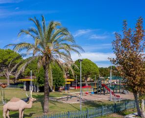 Asteria Family Resort  Belek  5*