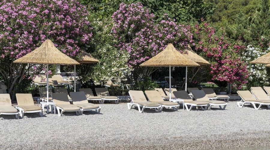 Alesta Yacht Hotel 4*