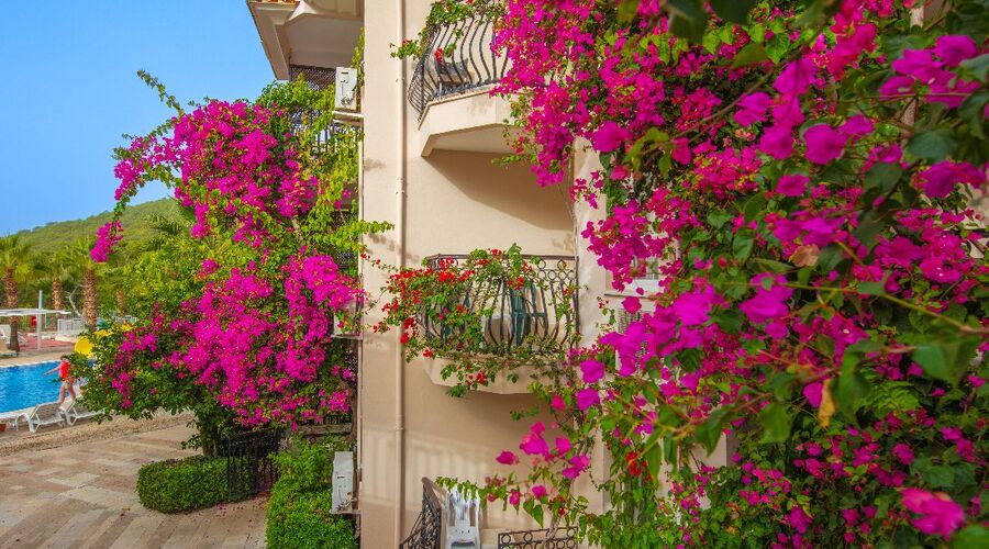 Nicholas Park Hotel  3*
