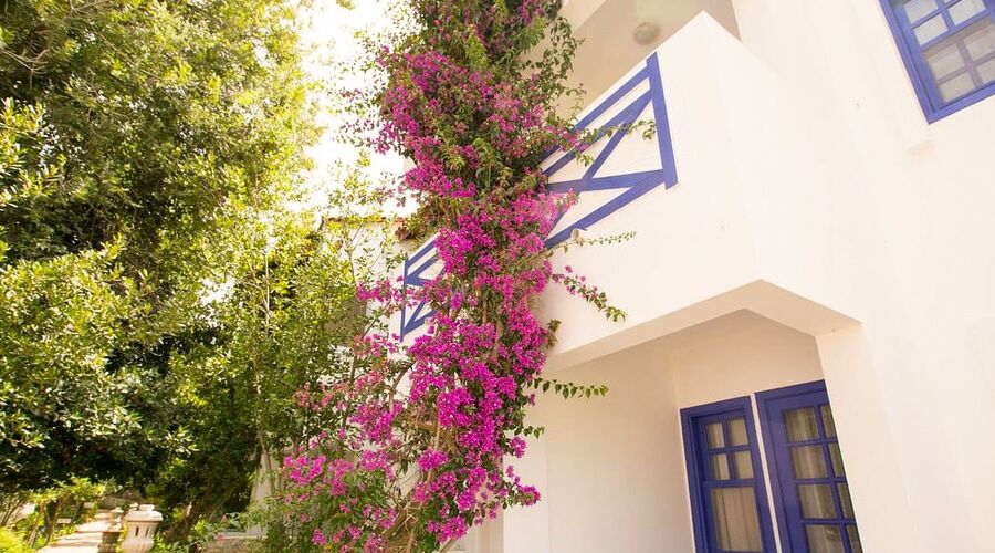 Ölüdeniz Beach Resort By Z Hotels 4*