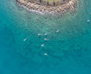 Rixos Premium Bodrum 5*