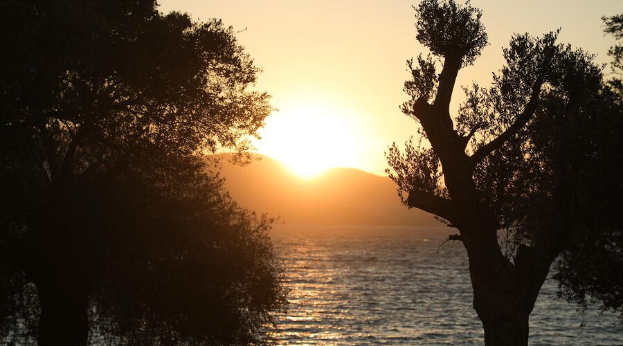 Rixos Premium Bodrum 5*