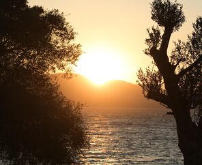 Rixos Premium Bodrum 5*