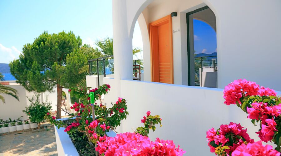 Senses Hotel  4*